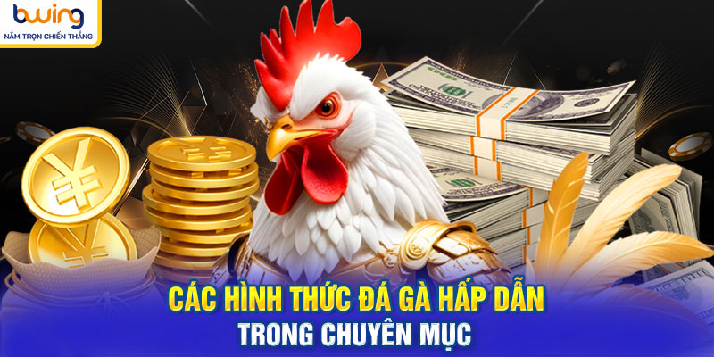 Các hình thức đá gà hấp dẫn trong chuyên mục