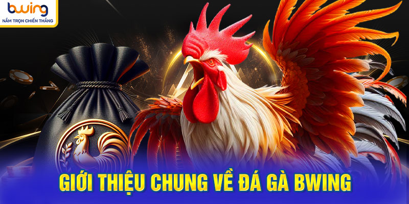 Giới thiệu chung về Đá gà BWING