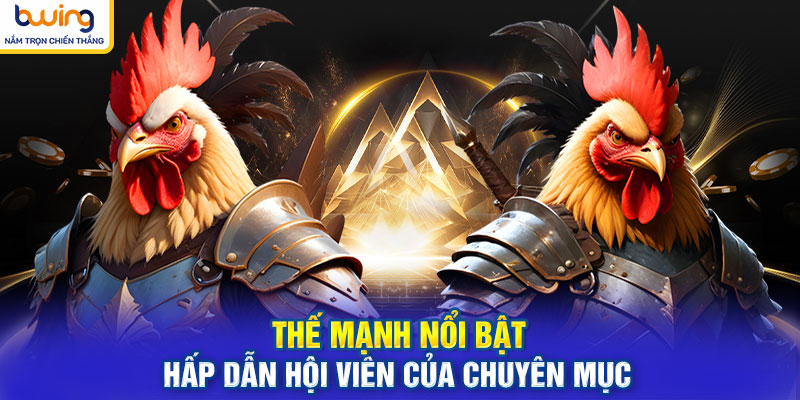 Thế mạnh nổi bật hấp dẫn hội viên của chuyên mục