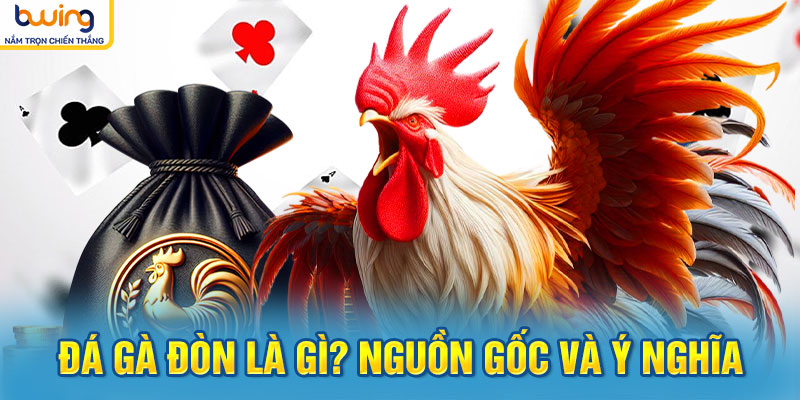 Đá gà đòn là gì? Nguồn gốc và ý nghĩa