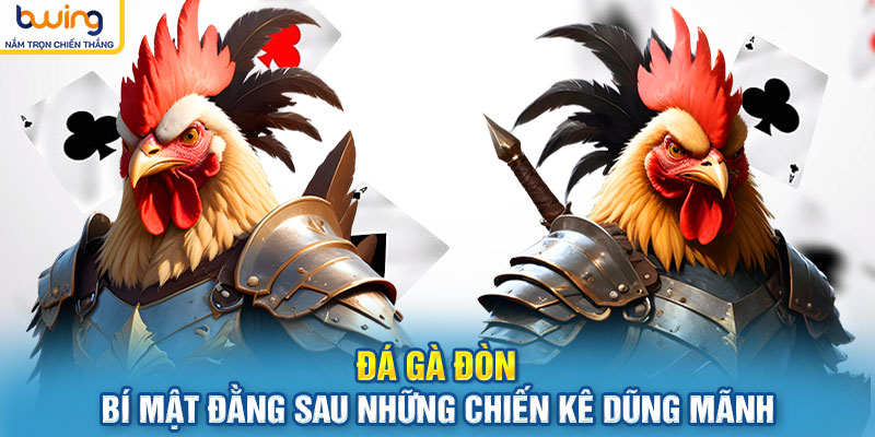 Đá Gà Đòn – Bí Mật Đằng Sau Những Chiến Kê Dũng Mãnh