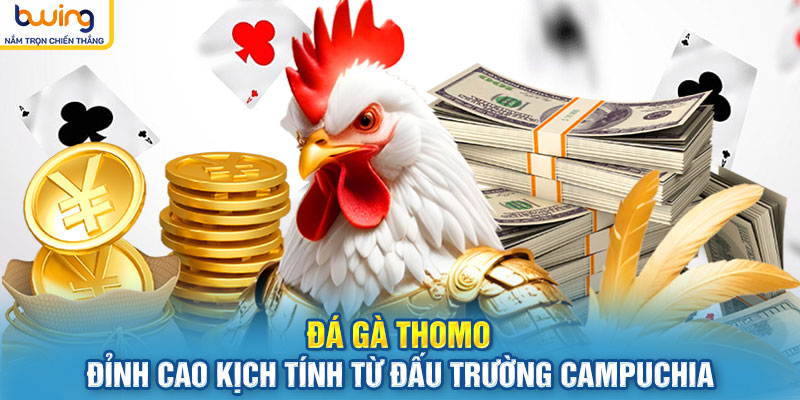 Đá Gà Thomo: Đỉnh Cao Kịch Tính Từ Đấu Trường Campuchia
