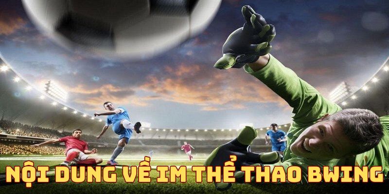 Giới thiệu về IM Thể Thao BWING