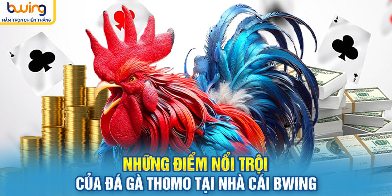 Những điểm nổi trội của Đá gà Thomo tại nhà cái BWING