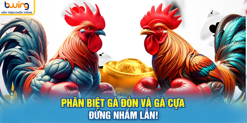 Phân biệt gà đòn và gà cựa – Đừng nhầm lẫn!