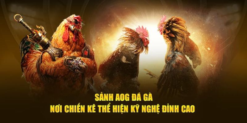 Sảnh AOG đá gà BWING hiện đại và chất lượng